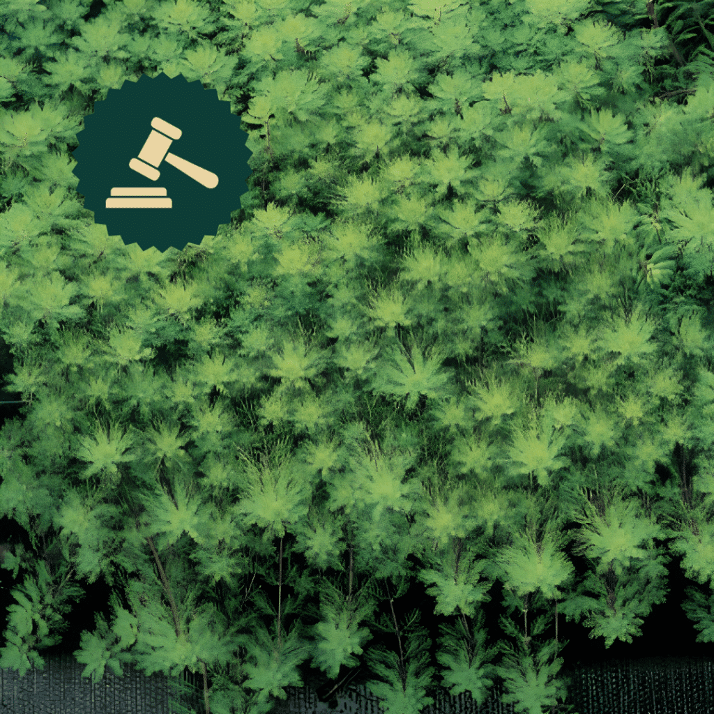 Myriophylle aquatique_règlementée