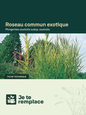 JTR RoseauCommun
